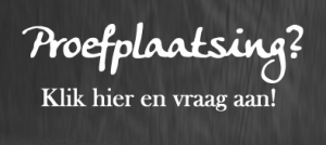 lattizbutton